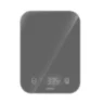 Кухонные весы CT-2480 Gray